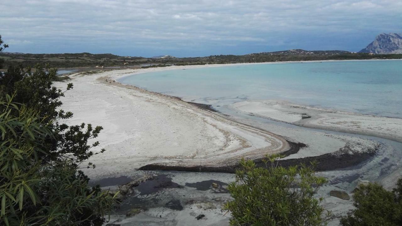 Appartamenti Sardegna Porto San Paolo  Kültér fotó