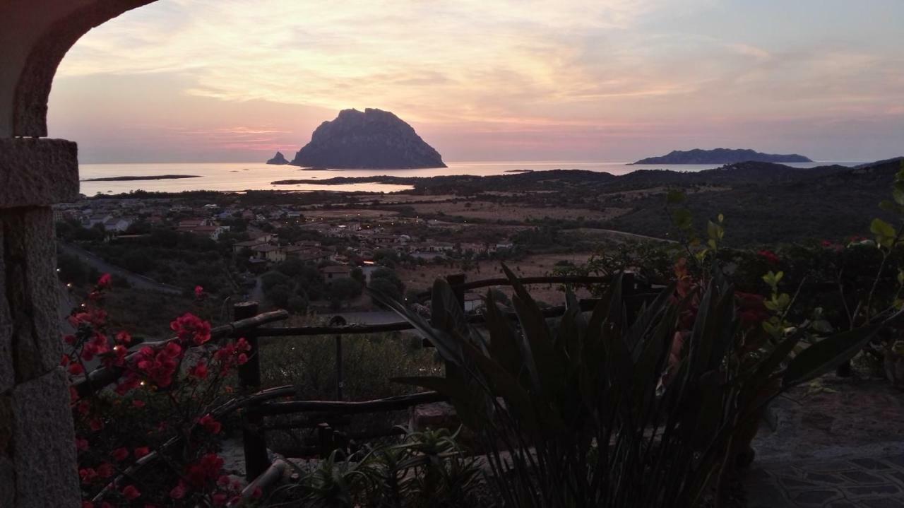 Appartamenti Sardegna Porto San Paolo  Kültér fotó